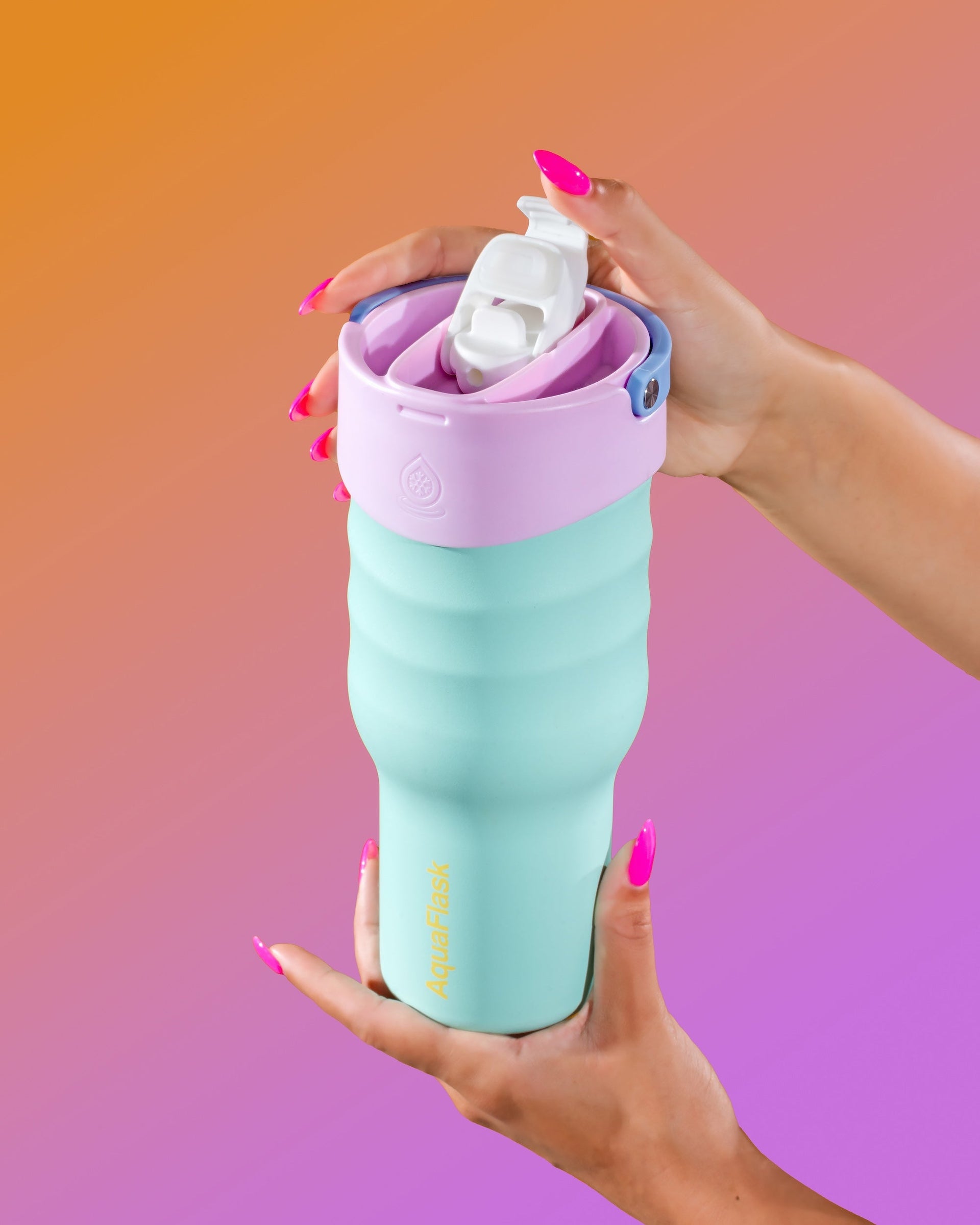 Tumblers, Mugs & Cups